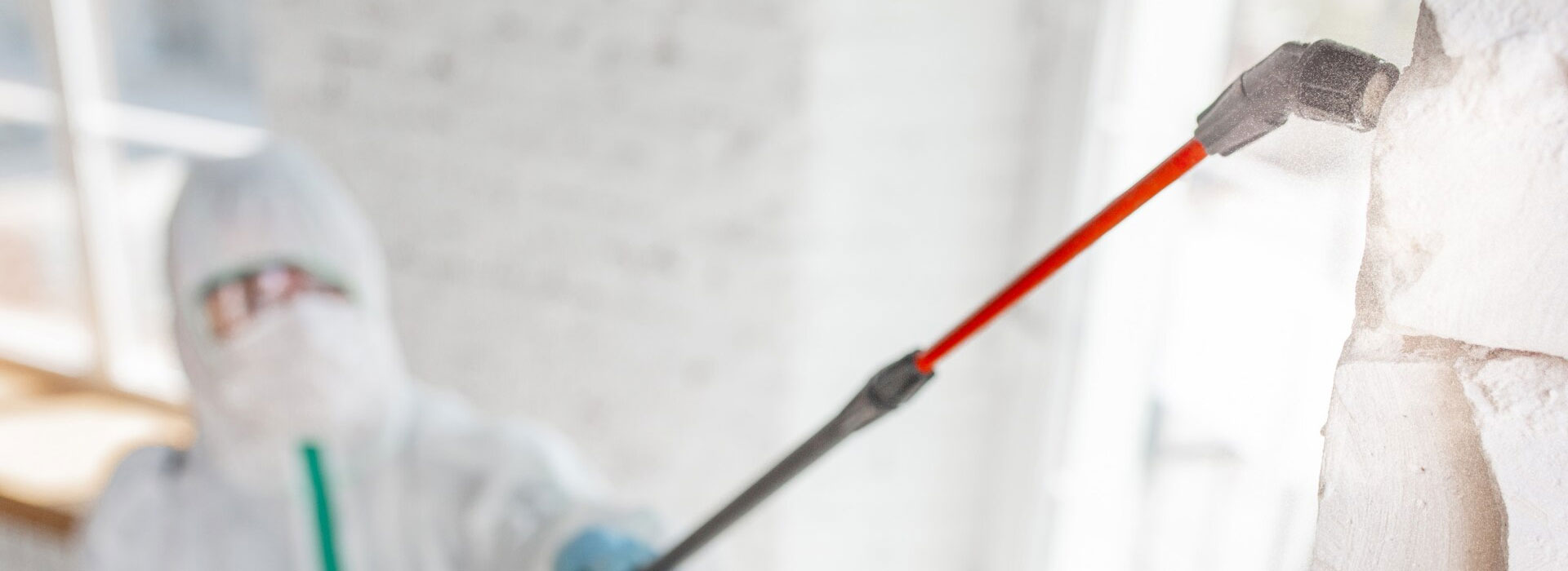 Pest Control Solutions