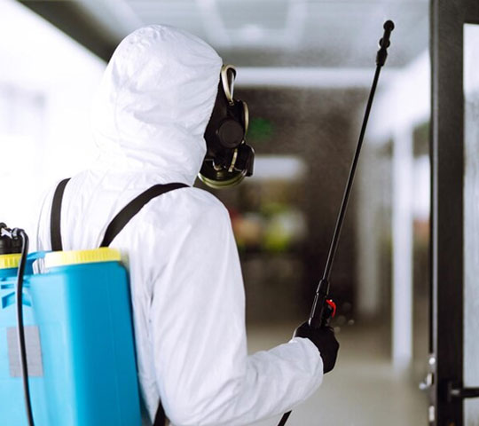 Premier Pest Control Expert