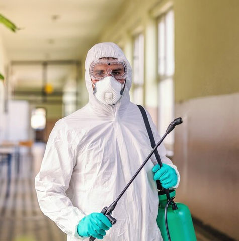 Pest control services in Kanchipuram