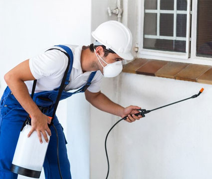 Pest Control Services