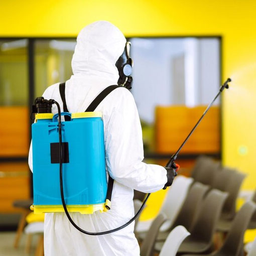 Quality Pest Control Services