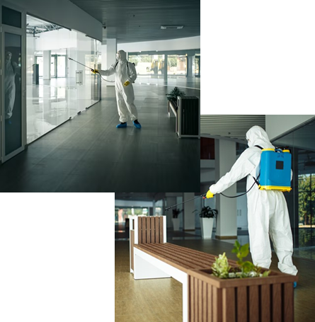 Quality Pest Control Services