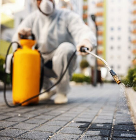Eco-Friendly Disinfestation Services in Kanchipuram