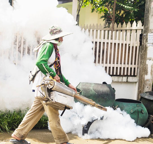 Outdoor Mosquito Sanctuary