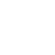 Pest control services