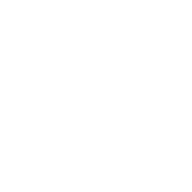 Pest control services