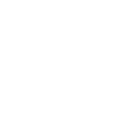 Pest control services
