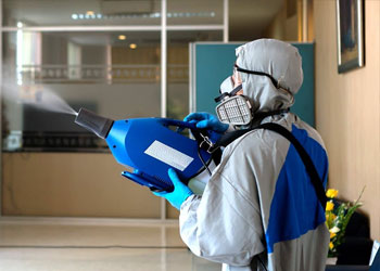 Disinfection Services