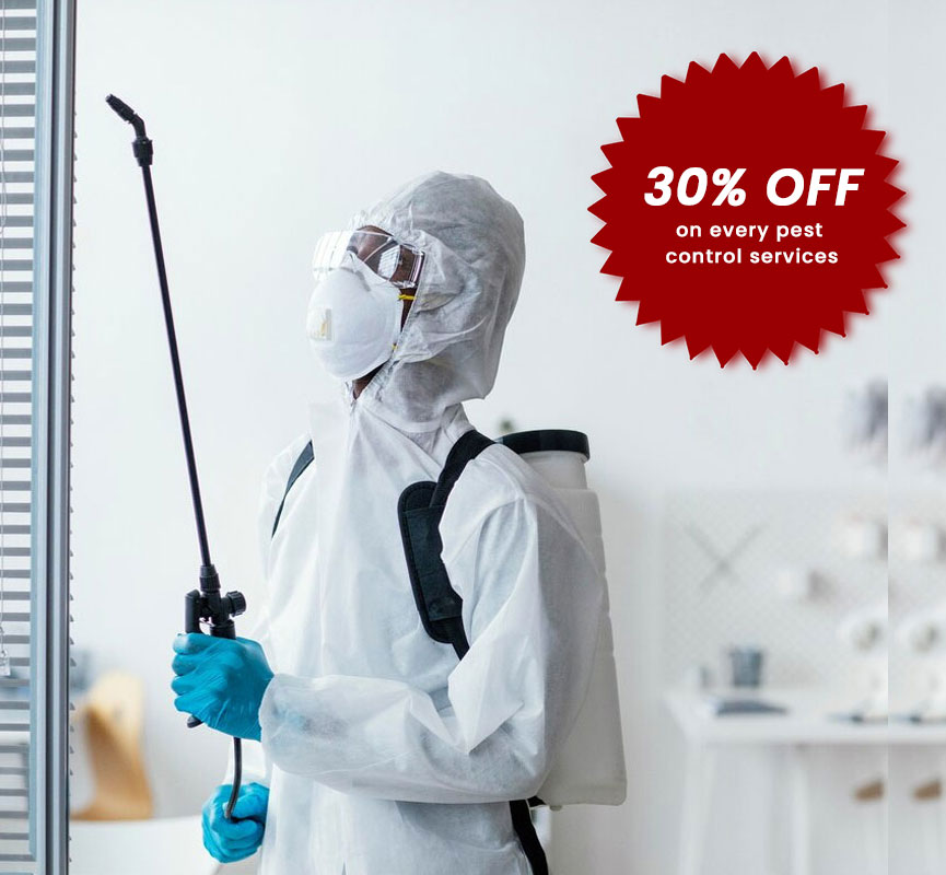Pest Control Services